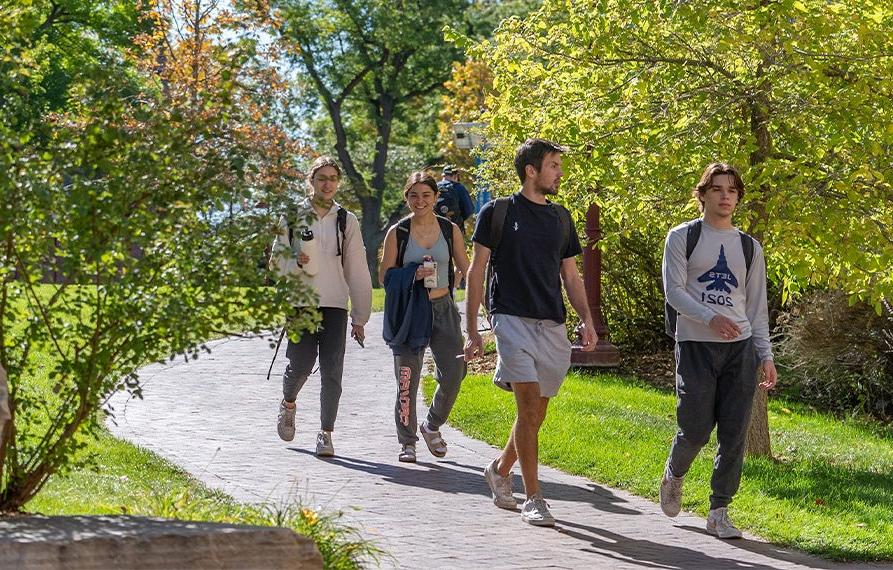 一群学生在阳光明媚的日子里沿着绿树成荫的小路散步